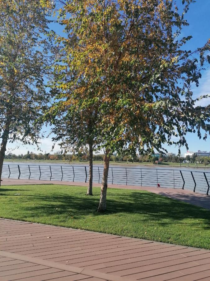 Belgrade Waterfront Cozy Symphony 1 Apartment Sajmiste Екстериор снимка